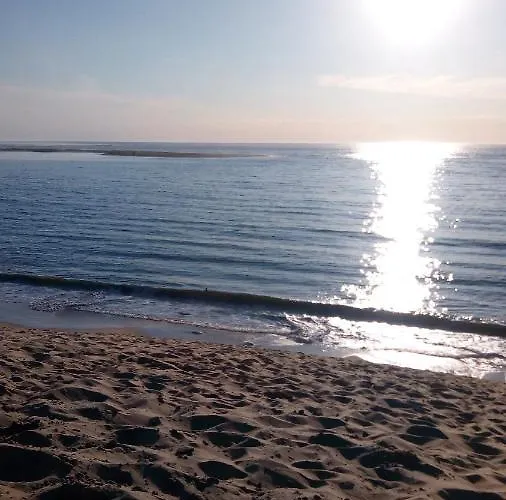 Comme Dans Un Phare ארסשון